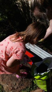 download_20141129_171355